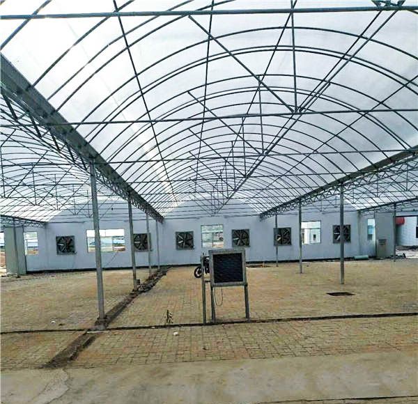 陽光板智能溫室骨架